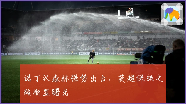 诺丁汉森林强势出击，英超保级之路渐显曙光